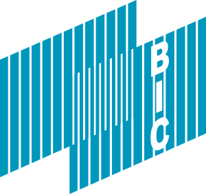 BIC Logo